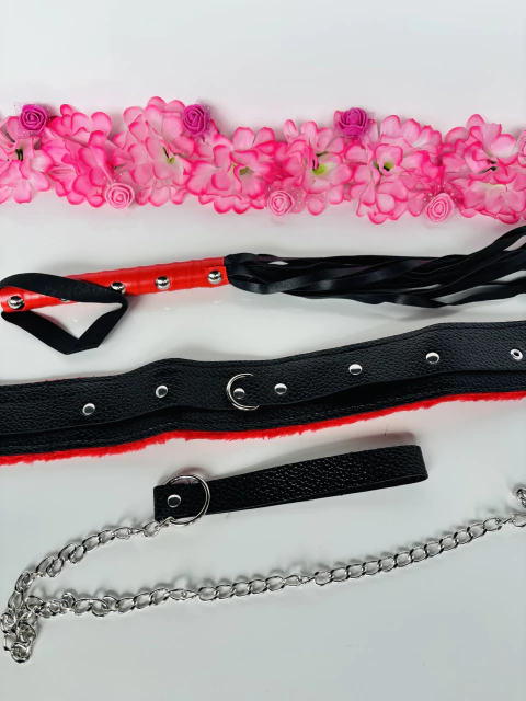 Kit Coleira e Chicote Luxo