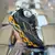 Mizuno Prophecy 13 - Number One Outlett