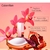 Euphoria Calvin Klein EDP Feminino 50ml - Lord Perfumaria