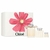 Coffret Signature Chloe Miniatura Natal 2024