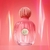 The Icon Splendid Banderas EDP Feminino 50ml - Lord Perfumaria