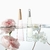 L´Eua D´Issey Pivoine Issey Miyake EDT Feminino 100ml na internet