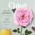 Naturelle Chloe EDP Feminino 100ml - Lord Perfumaria