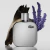 L.12.12 Silver Grey Lacoste EDP Masculino 50ml na internet