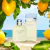 Light Blue Pour Homme Dolce&Gabbana EDT Masculino 125ml - Lord Perfumaria