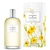 Nº1 Azahar Radiante Victorio & Lucchino EDT Feminino 150ml - comprar online