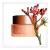Creme Diurno Extra Firming Jour SPF 15 Cream Clarins 50ml na internet