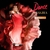 Dance Midnight Muse Shakira EDT Feminino 80ml na internet
