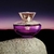 Dylan Purple Versace EDP Feminino 100ml na internet