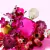 Fucsia Shakira EDP Feminino 80ml na internet