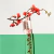 Flower Ikebana By Kenzo EDP Feminino 40ml na internet
