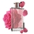 Rosiale Paris Coscentra EDP Feminino 100ml na internet