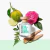 Forever Green Benetton EDT Feminino 80ml - Lord Perfumaria