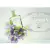 Les Infusion de Prada Milano Iris Prada EDP Feminino 30ml na internet