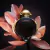 Olympea Paco Rabanne EDP Feminino 80ml - loja online