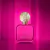 Fucsia Shakira EDP Feminino 80ml - Lord Perfumaria