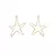 Brinco Estrela - comprar online