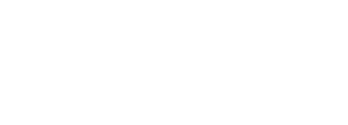 Dzard Lingerie