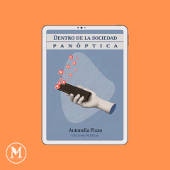 DENTRO DE LA SOCIEDAD PANÓPTICA. Antonella Pizzo (EBOOK)