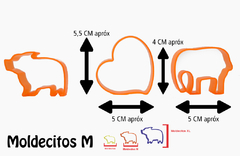 Moldecitos M x50