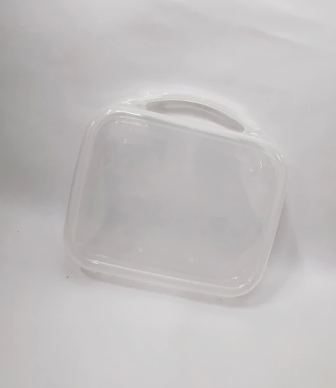 Valija XL Transparente x50