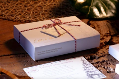 Caja de mensajes en cartón x 6 unidades NAVIDAD en internet