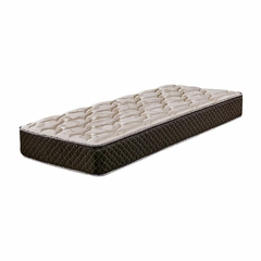 Colchón CANNON espuma Modelo EXCLUSIVE 100x190x25