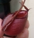 Nepenthes Viking x Ampullaria Black Miracle