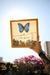 BORBOLETA AZUL - comprar online