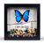 BORBOLETA AZUL - loja online