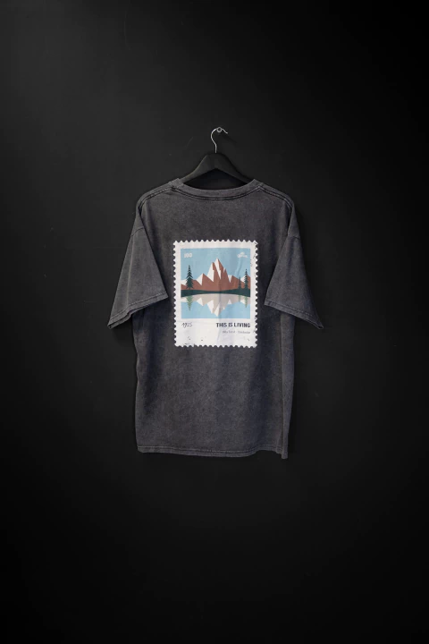 REMERA STAMP WASHED - comprar online