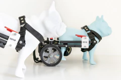 Silla de ruedas para PERROS CHICOS (talle S) - tienda online