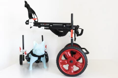 Silla de ruedas para PERROS GRANDES (talles: L - XL) - comprar online