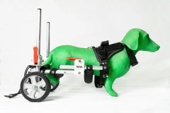 Silla de ruedas para PERROS CHICOS (talle S) - tienda online