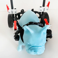 Silla de ruedas para PERROS CHICOS (talle S) en internet