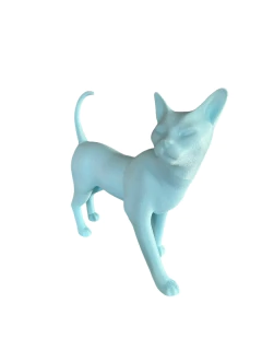 Maniquí de Gato #2 Tamaño Real Ideal Petshop