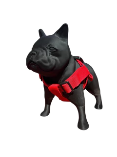 Maniquí De Perro Bull Dog Frances Ideal Para Petshop