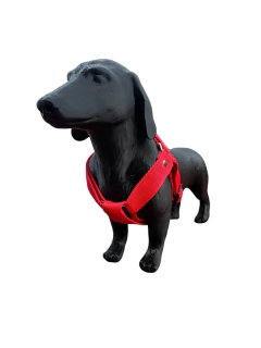 Maniquí de Perro Salchicha Tamaño Real Ideal Petshop
