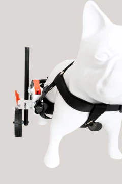 Silla de ruedas para PERROS MEDIANOS (talle M) en internet