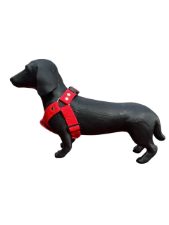 Maniquí de Perro Salchicha Tamaño Real Ideal Petshop en internet