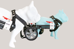 Silla de ruedas para PERROS MEDIANOS (talle M) - Propaw Lab