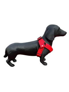 Maniquí de Perro Salchicha Tamaño Real Ideal Petshop - comprar online