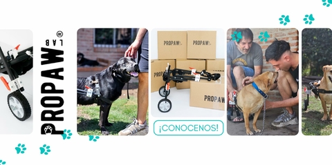 Carrusel Propaw Lab
