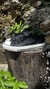 Tênis All Star Shine cano baixo Preto Luxo com brilho - comprar online