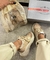 Imagem do Tênis Prada Milano Bronze