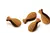 SNACK SOFT - CODORNA COM ORÉGANO CARNILOVE - 200g - comprar online