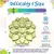 SODAPUP MANDALA SOFTIE ETRAY - VERDE