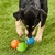 KIT BOLINHAS CHUCKIT FETCH MEDLEY - M na internet