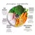 COMIDINHA COM INGREDIENTES ORGANICOS PARA CÃES ADULTOS ALL LOVE – 200g - comprar online