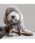 BENEBONE ZAGGLER BACON - P - Aubox - seu e-commerce pet